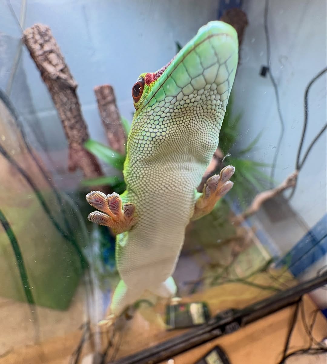 Post 2 by SEALIFE ADVENTURE on Instagram (carousel)