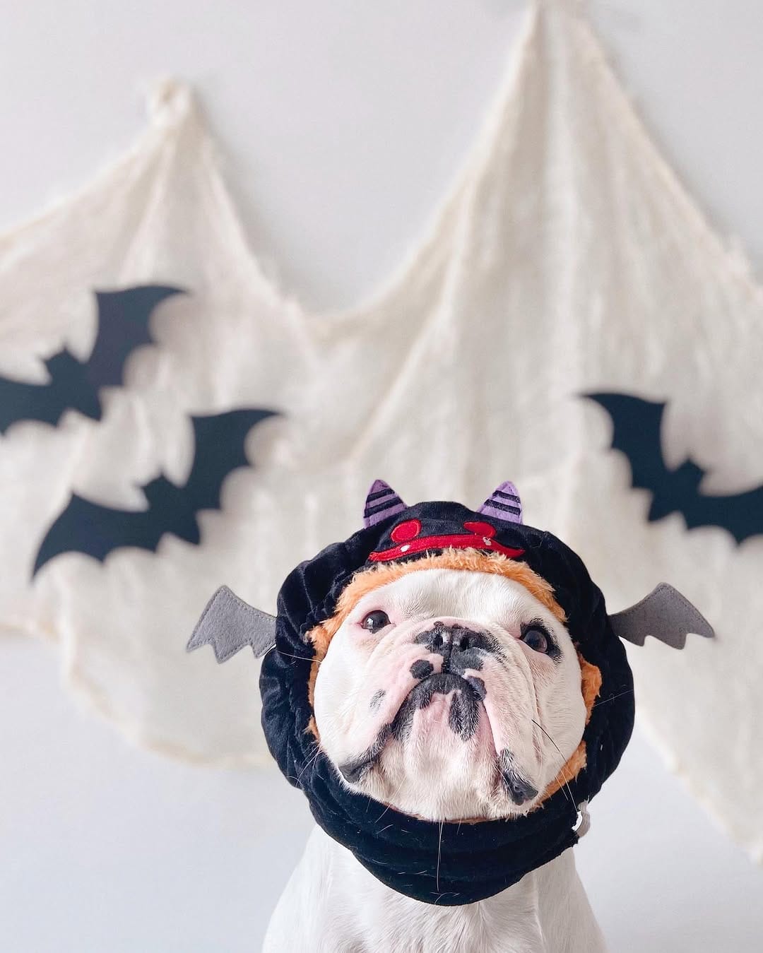 Post 10 by Bella-boo✨ on Instagram (image)