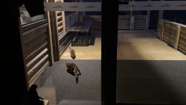 Post 9 by Bec on Instagram (video)