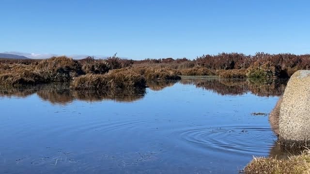 Post 7 by Bec on Instagram (video)