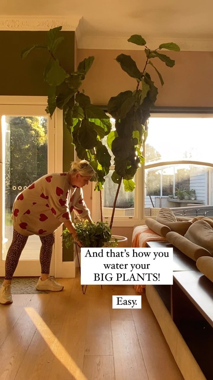 Post 5 by Into The Wild @ Home on Instagram (video)