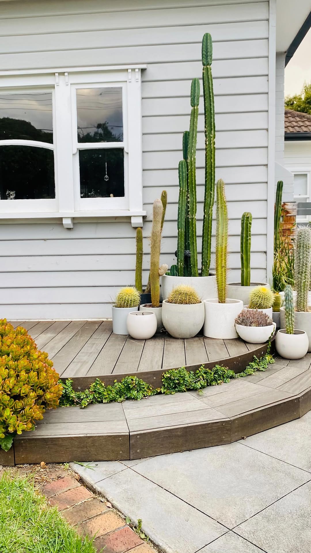 Post 7 by Into The Wild @ Home on Instagram (video)