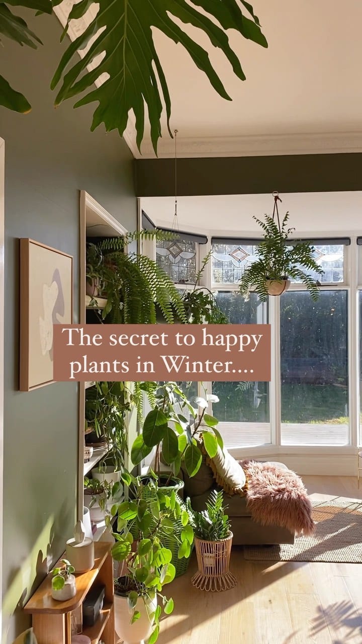Post 4 by Into The Wild @ Home on Instagram (video)