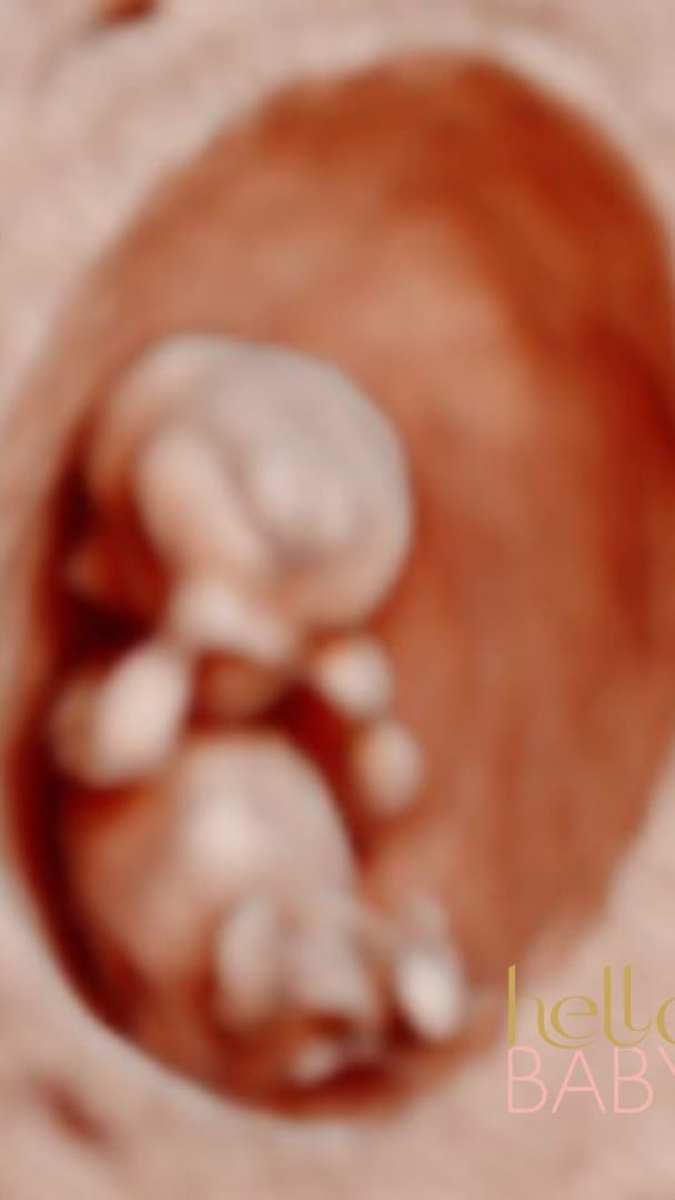 Post 4 by Hello Baby 3D®️ on Instagram (video)