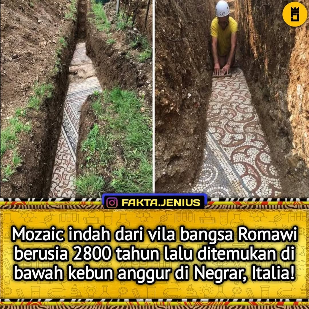 Post 10 by Fakta.jenius on Instagram (image)