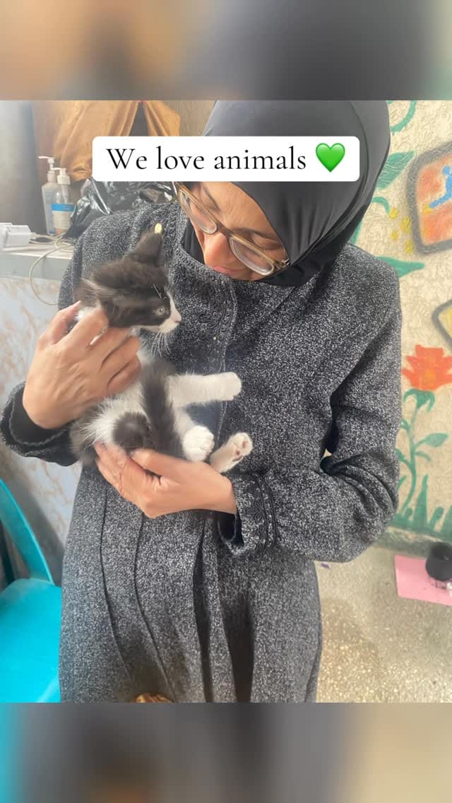 Post 6 by Playgrounds for Palestine (PfP) on Instagram (video)