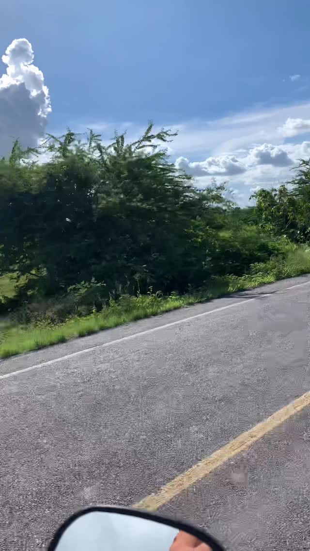 Post 8 by Pablo O Ferinha on Instagram (video)