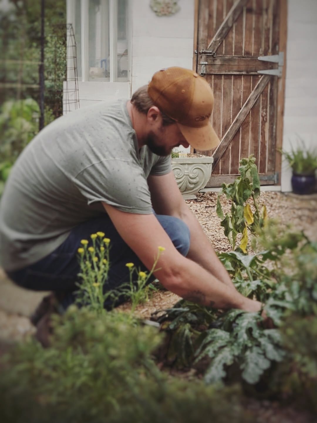 Post 7 by Limestone Permaculture on Instagram (carousel)