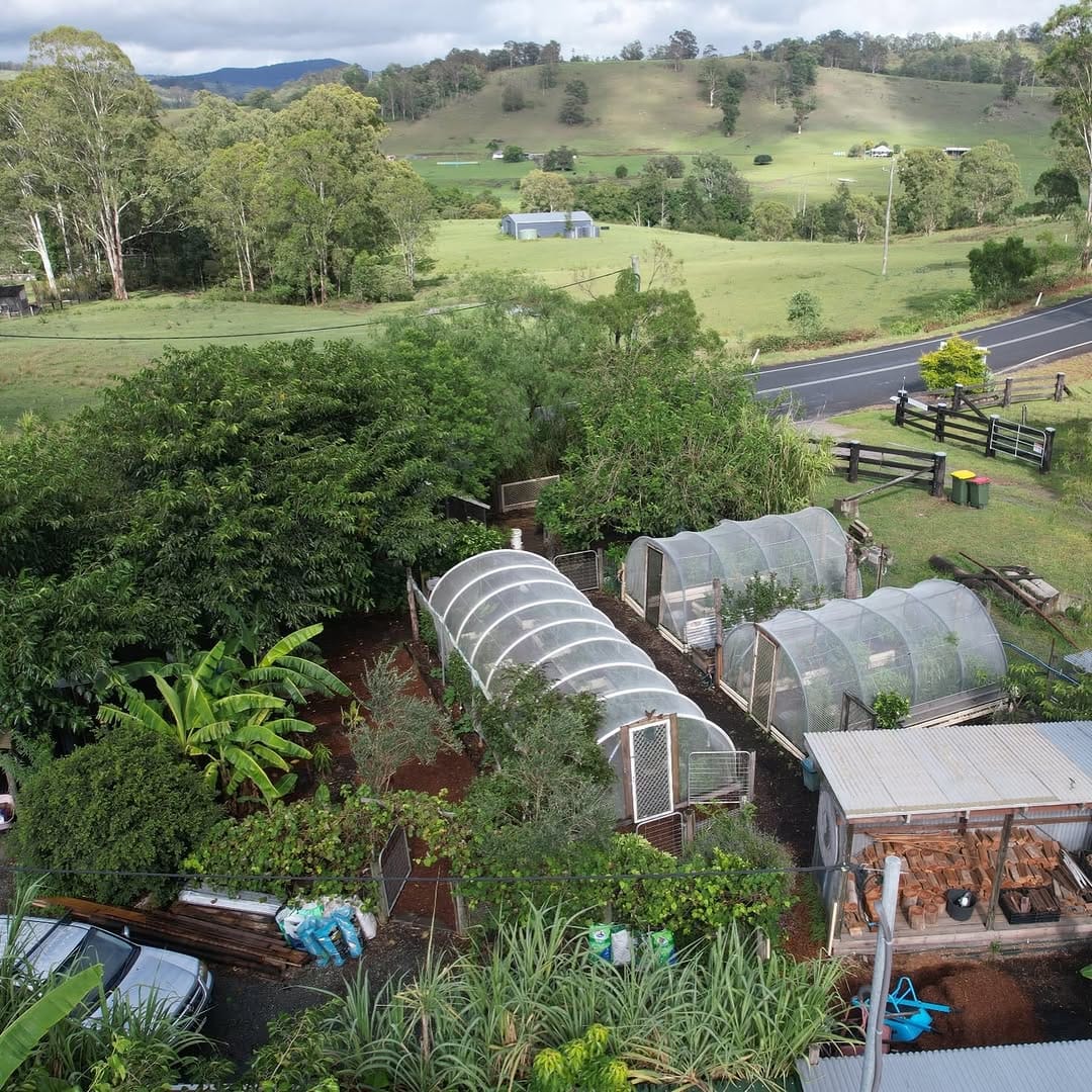 Post 9 by Limestone Permaculture on Instagram (carousel)