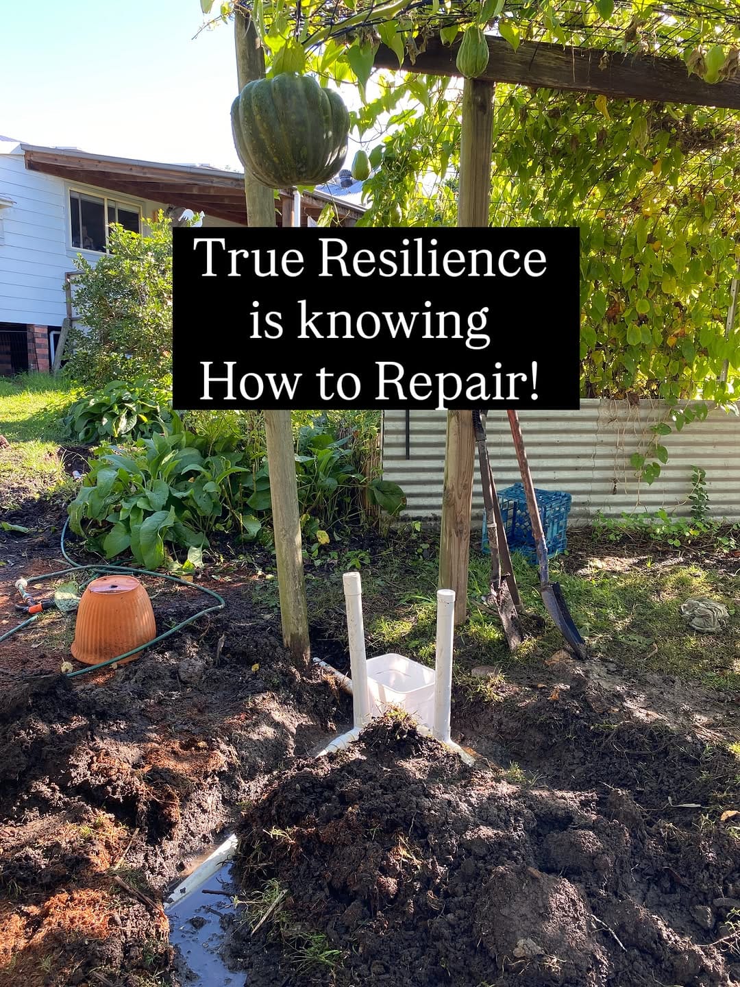 Post 4 by Limestone Permaculture on Instagram (carousel)