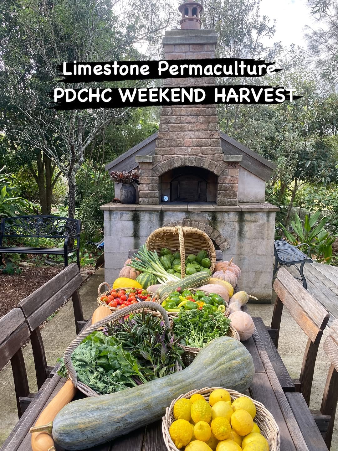 Post 5 by Limestone Permaculture on Instagram (carousel)