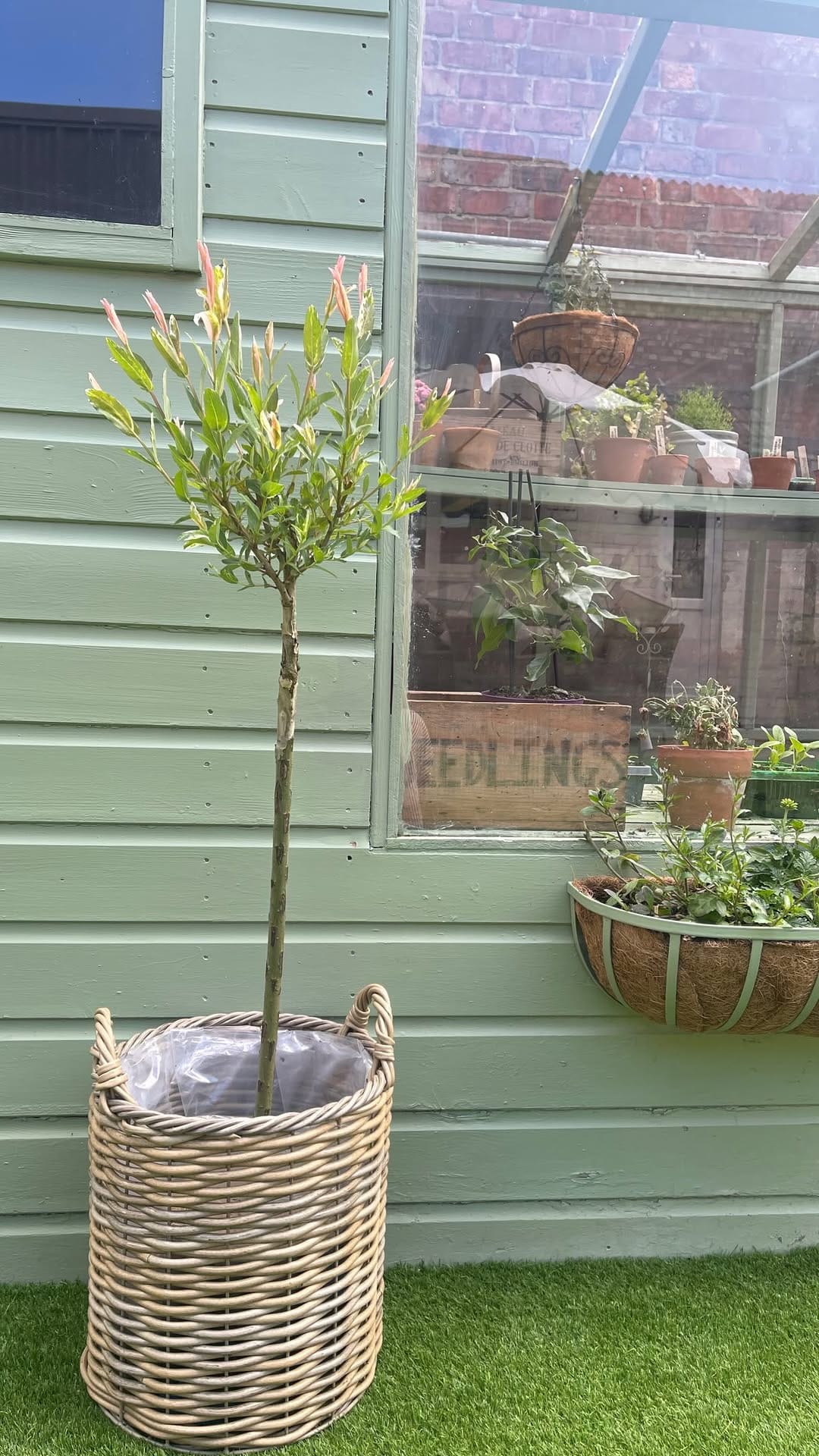 Post 2 by Kirsty 🌿 on Instagram (video)