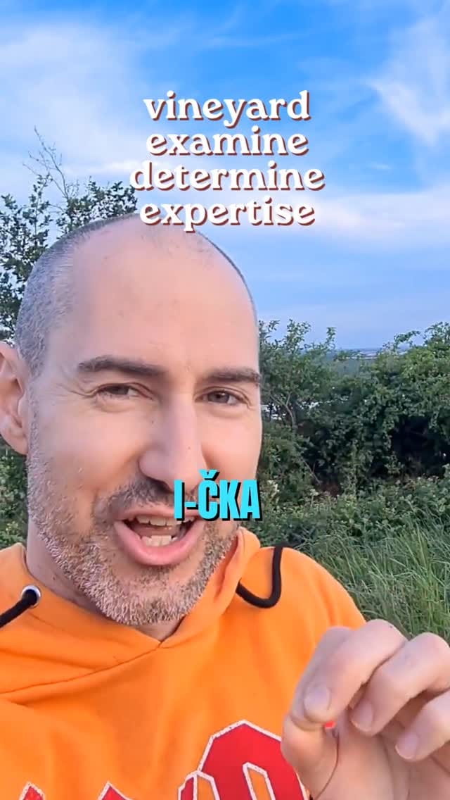 Post 2 by Tomáš Mýtny | Angličtina, ktorá drží on Instagram (video)