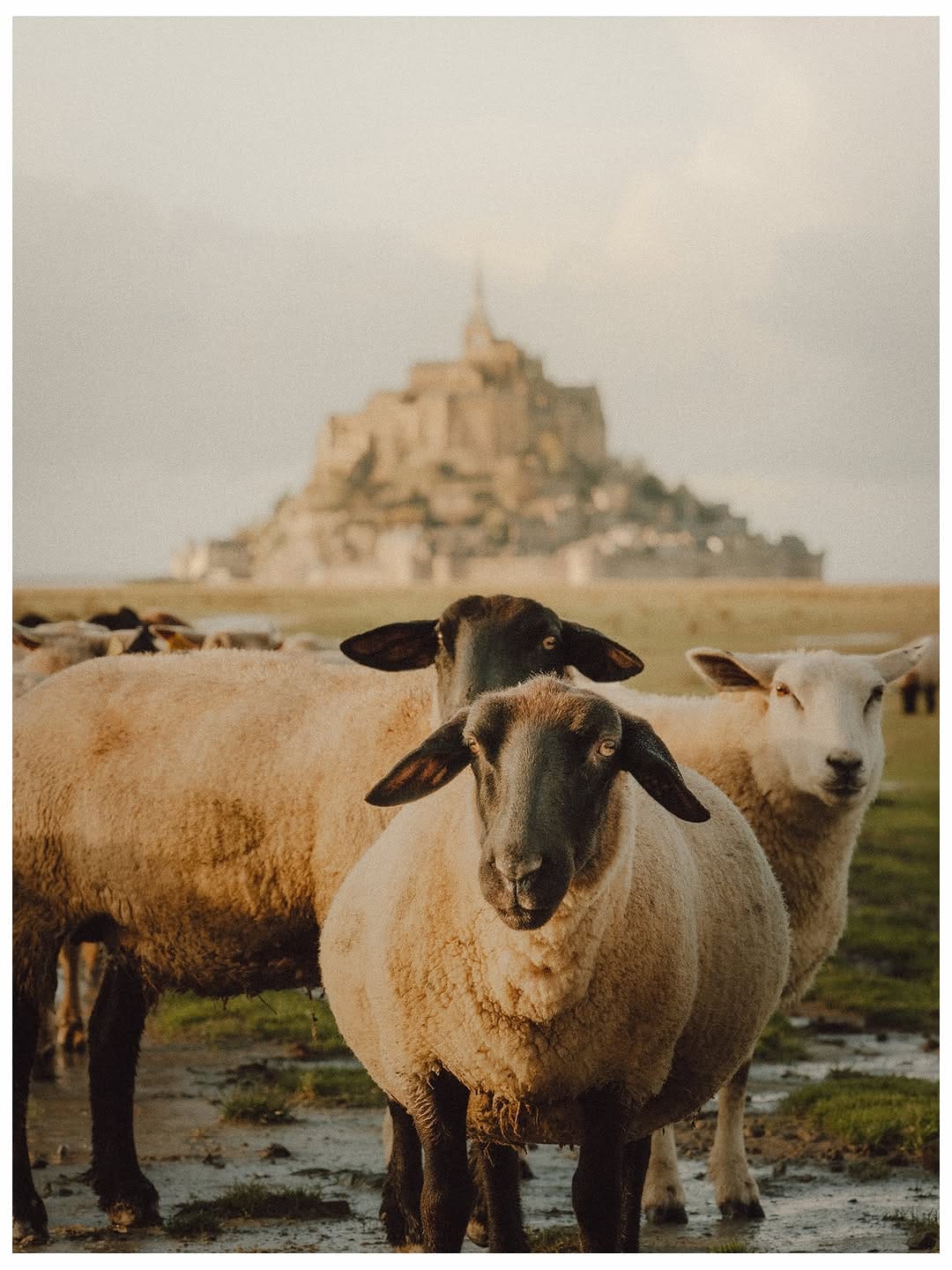 Post 3 by Gareth Llewellyn on Instagram (carousel)