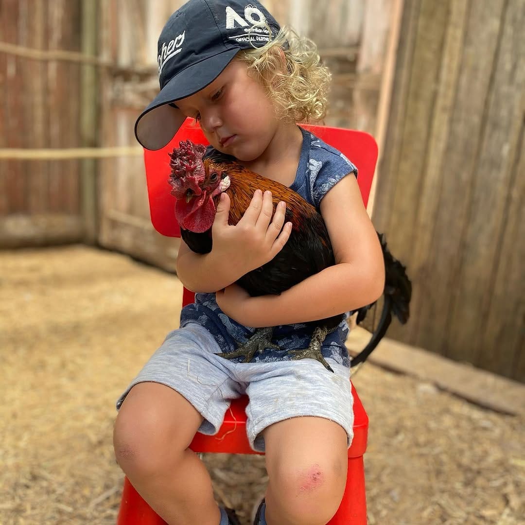Post 10 by Eliza Cooper // Curby on Instagram (image)