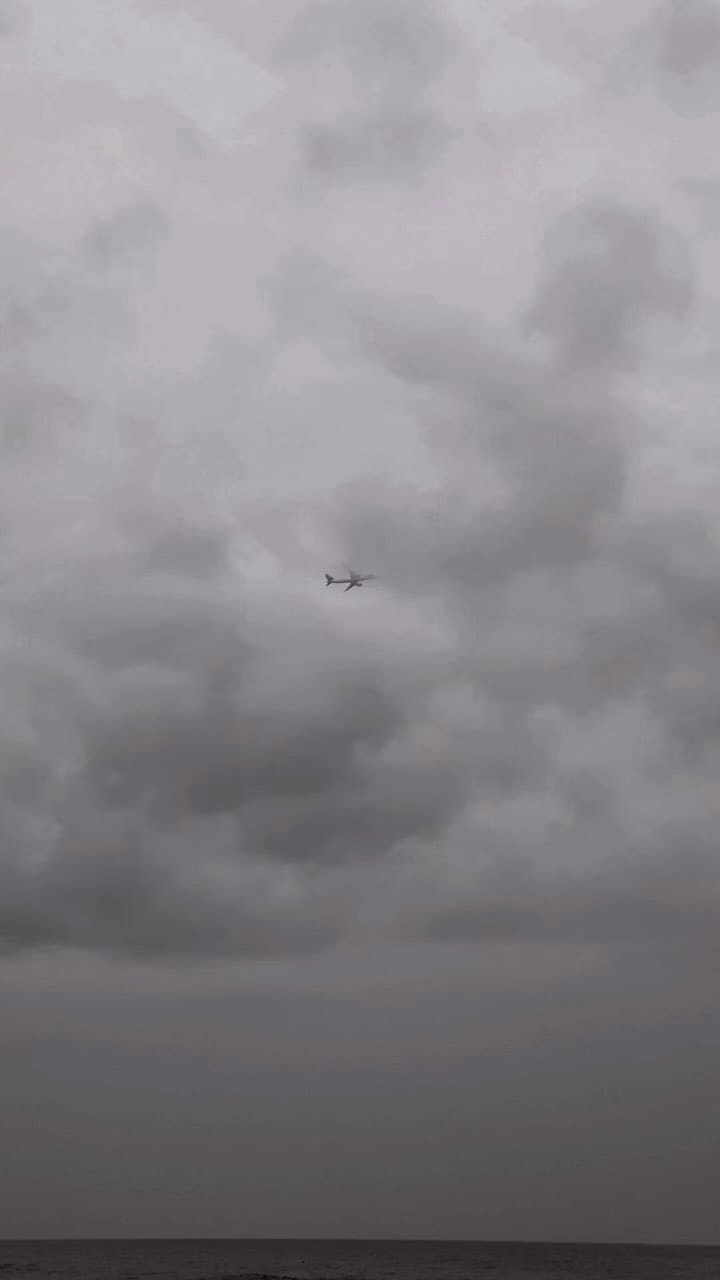 Post 10 by Seth London on Instagram (video)