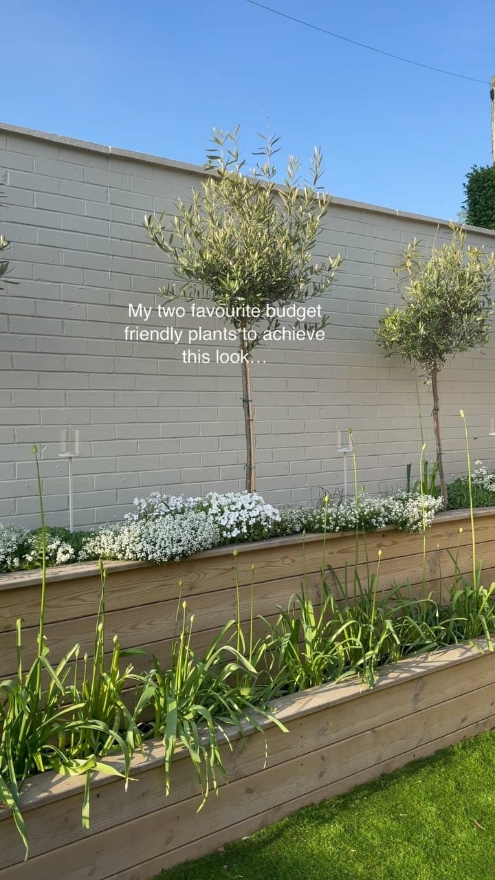 Post 10 by Nicola Hetherington on Instagram (video)