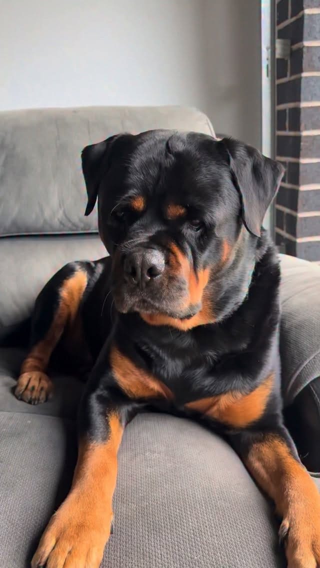 Post 1 by Julian Ryan on Instagram (video)