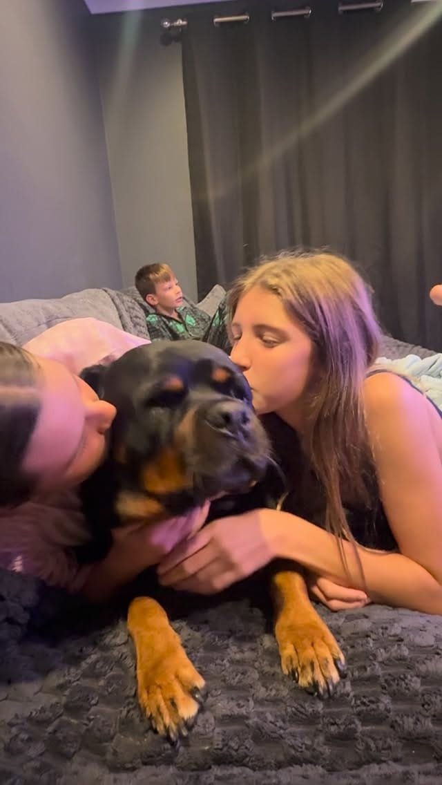 Post 6 by Julian Ryan on Instagram (video)