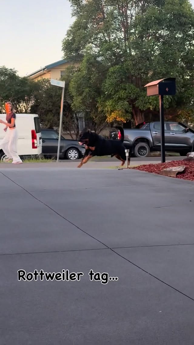 Post 8 by Julian Ryan on Instagram (video)