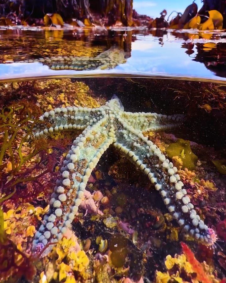 Post 8 by Martin Stevens on Instagram (carousel)