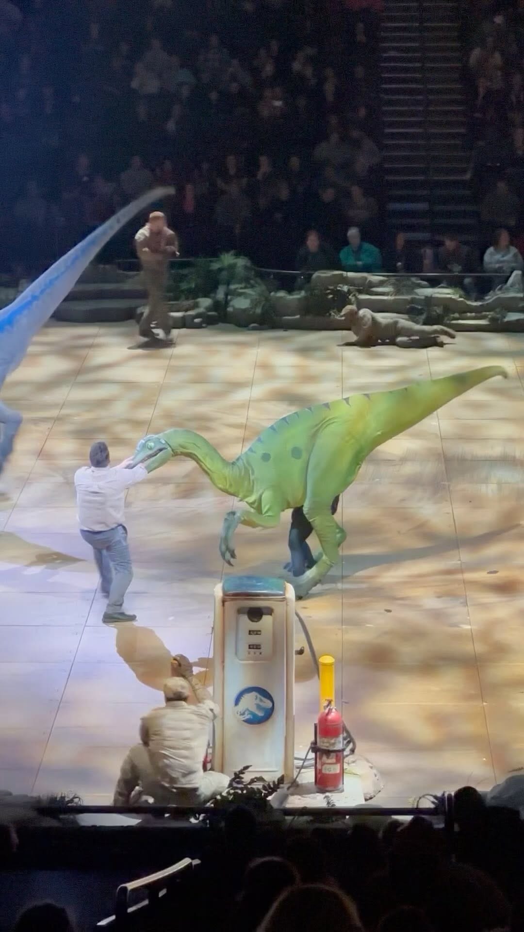 Post 7 by Julia Ruth | Acro•Cyr•Circus on Instagram (video)