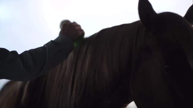 Post 1 by Meng Lee on Instagram (video)