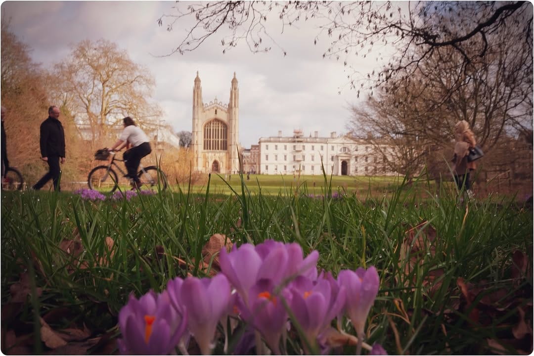 Post 9 by Claire Reynolds 🫶🌻✨🐾☀️🚌📸☕️ on Instagram (image)