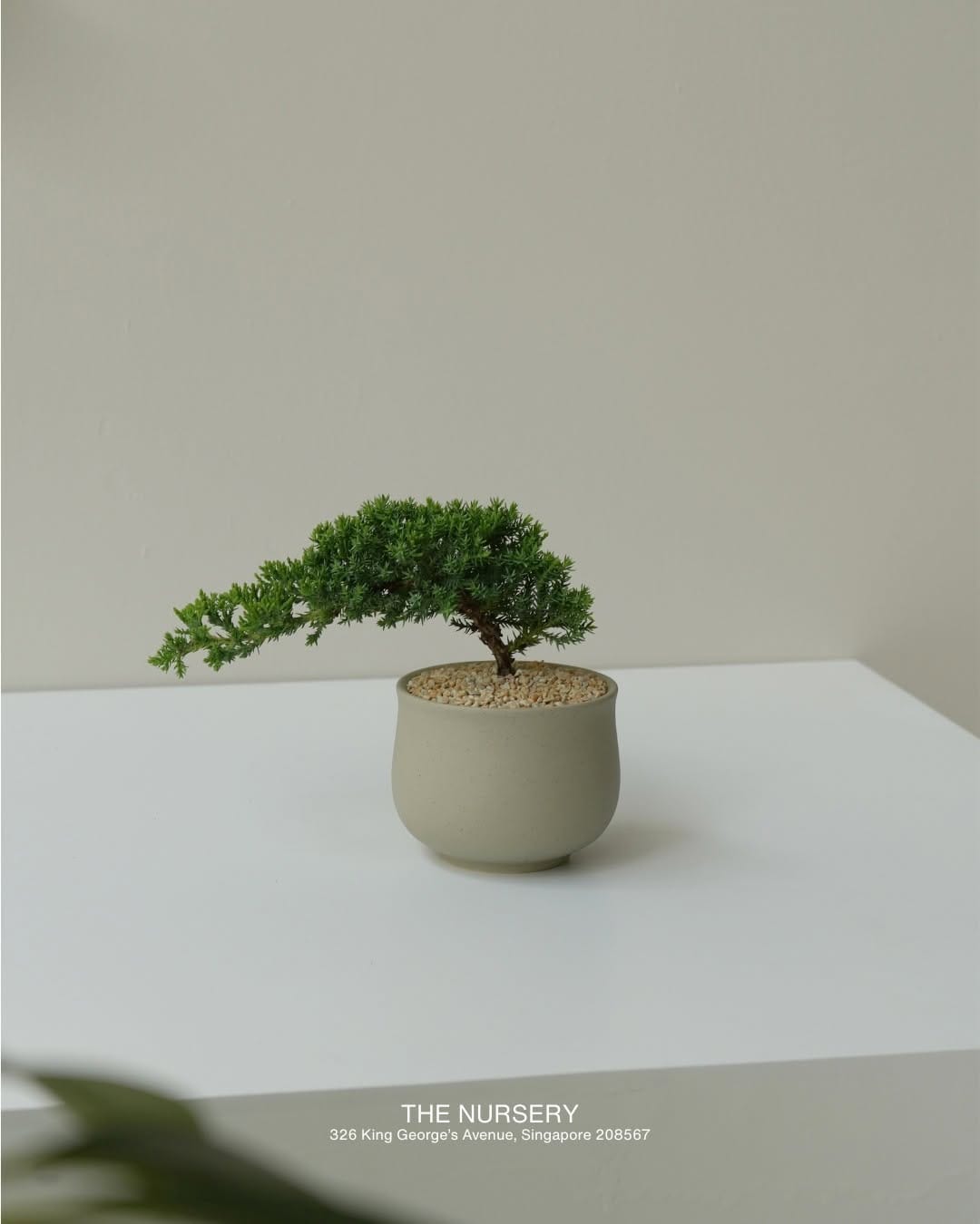 Post 5 by The Nursery Singapore on Instagram (image)