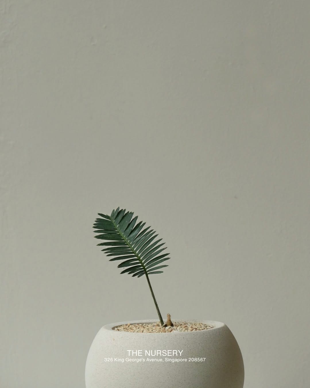 Post 2 by The Nursery Singapore on Instagram (carousel)