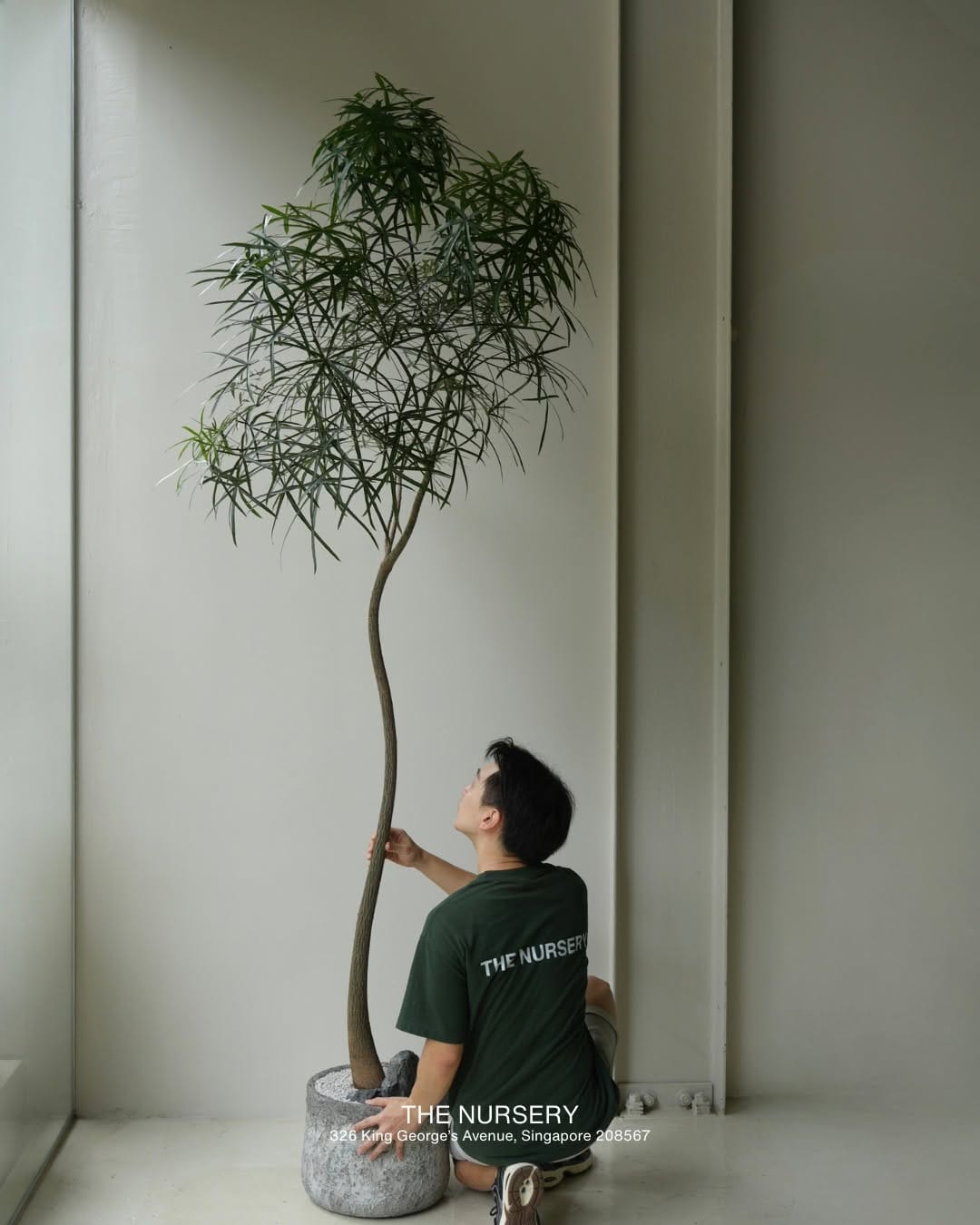 Post 7 by The Nursery Singapore on Instagram (image)