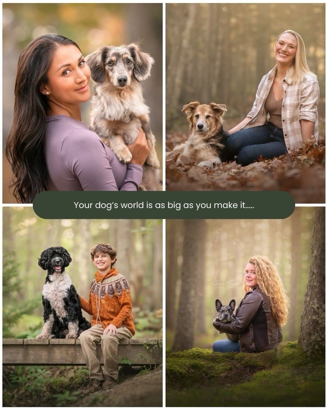 Post 9 by Gina Soule | Maine Pet Photographer on Instagram (carousel)