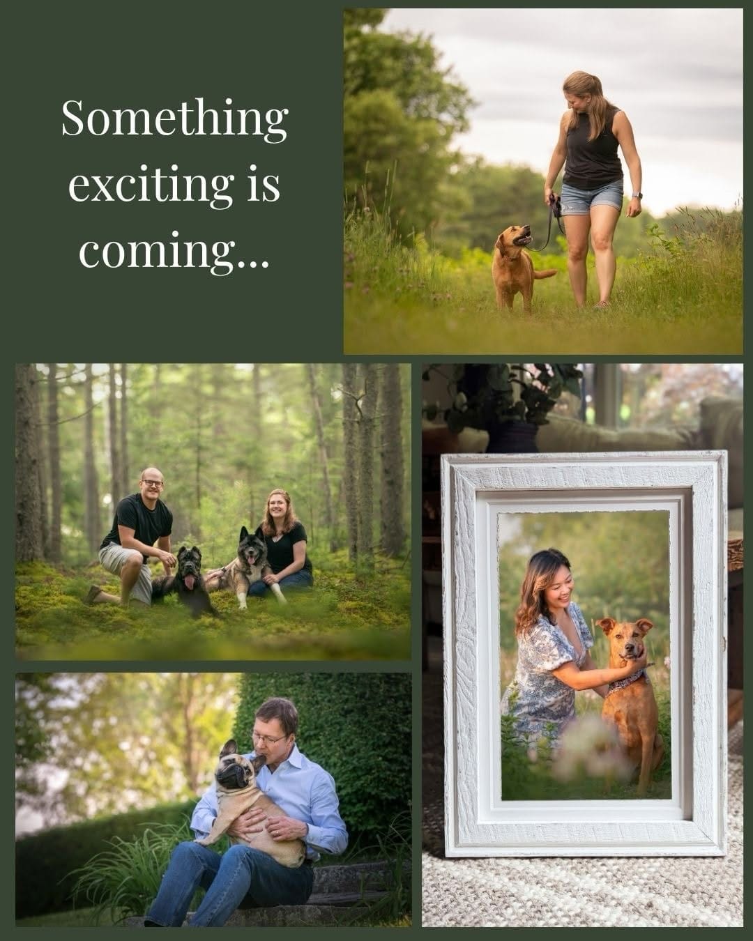 Post 5 by Gina Soule | Maine Pet Photographer on Instagram (carousel)