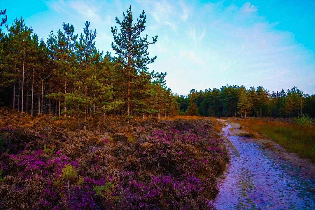 Post 3 by Pro Visuals Photpgraphy on Instagram (image)