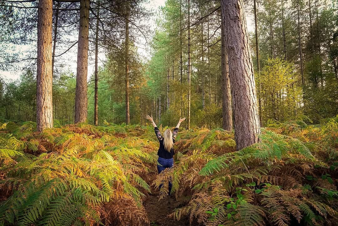 Post 2 by Pro Visuals Photpgraphy on Instagram (image)