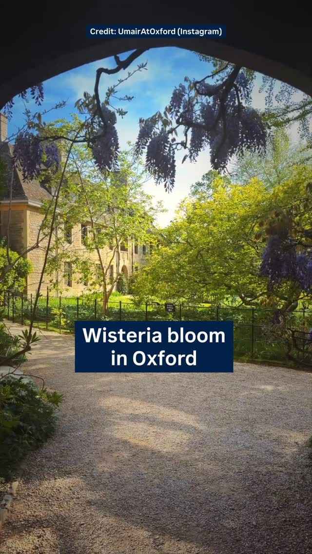 Post 8 by @worcestercollegegardener on Instagram (video)