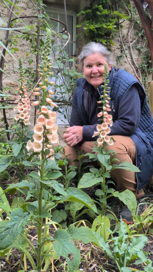 Post 6 by @worcestercollegegardener on Instagram (video)