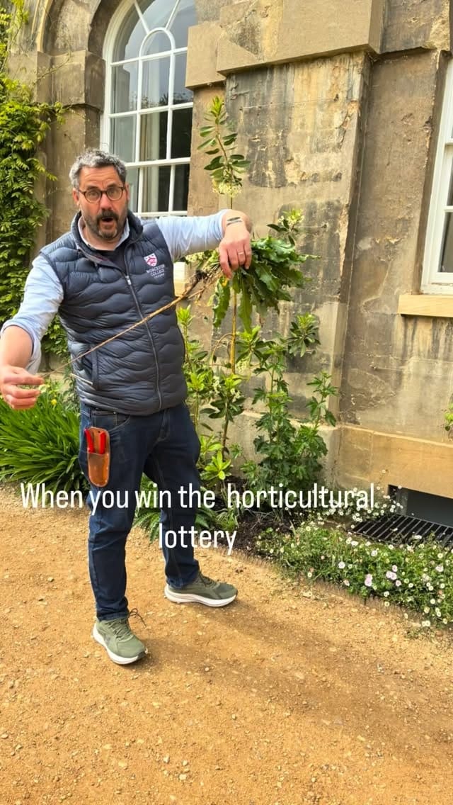 Post 7 by @worcestercollegegardener on Instagram (video)