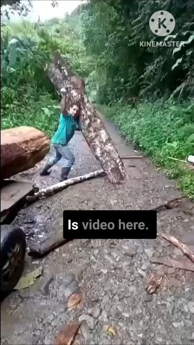 Post 7 by Shahnawaz Alam on Instagram (video)
