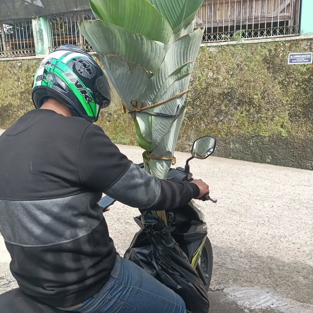 Post 10 by Metha l Tanaman Hias & Buah Bandung on Instagram (carousel)
