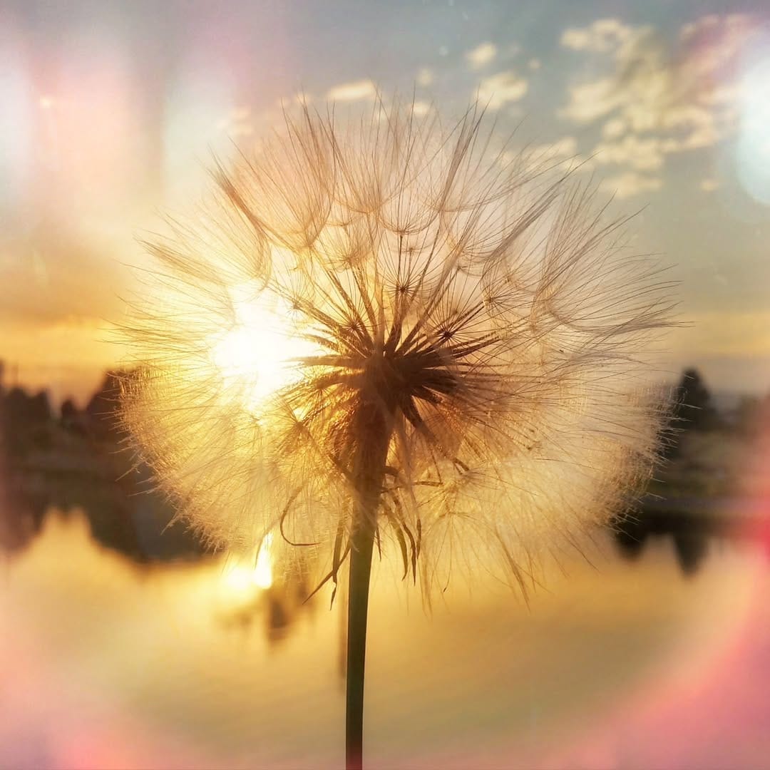 Post 7 by Garth Rogers ☆ on Instagram (image)