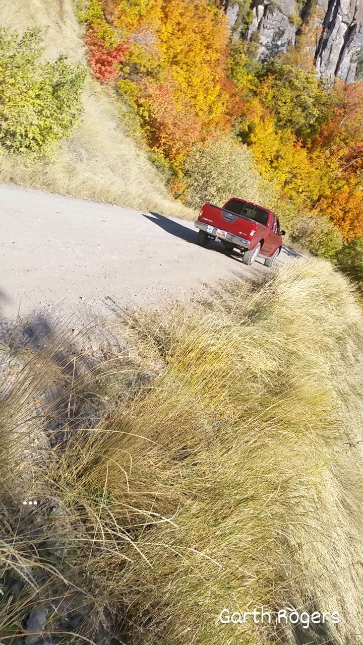 Post 9 by Garth Rogers ☆ on Instagram (video)