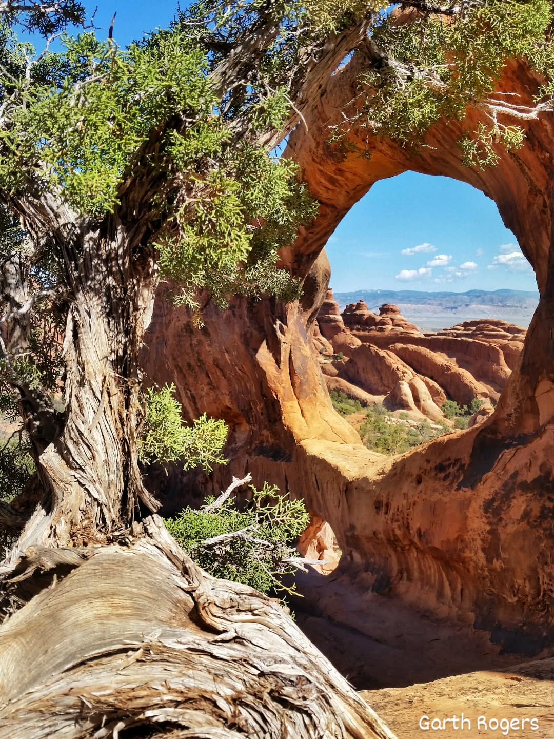 Post 5 by Garth Rogers ☆ on Instagram (image)