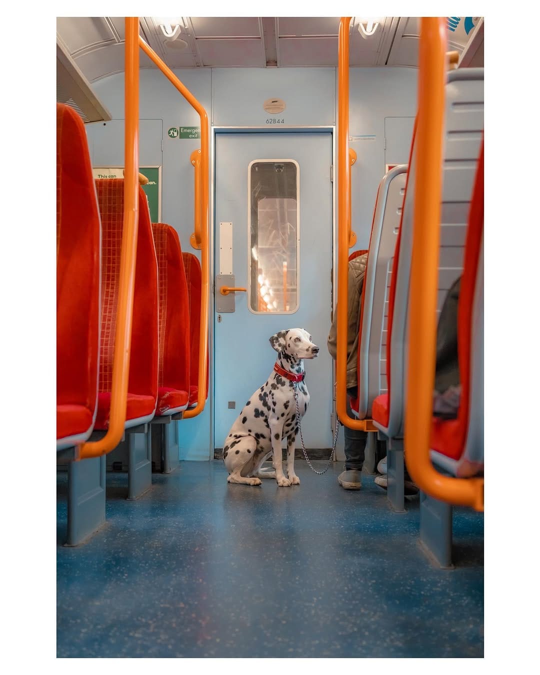 Post 10 by Josh Edgoose on Instagram (image)