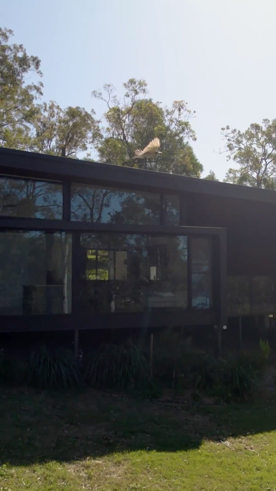 Post 6 by AlexandraBuchanan ARCHITECTURE on Instagram (video)