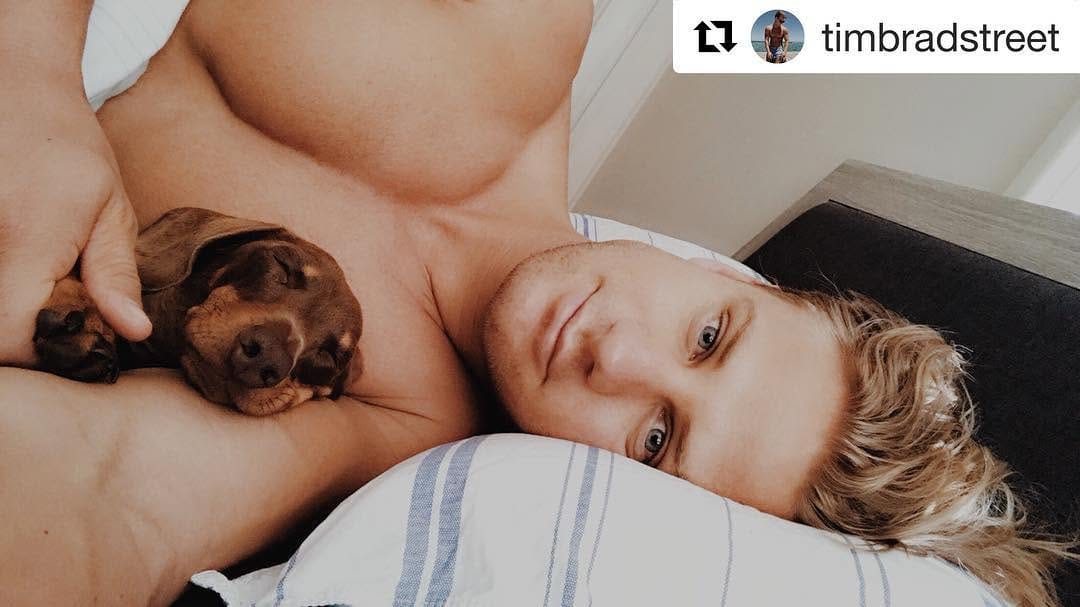 Post 9 by Moose on Instagram (image)