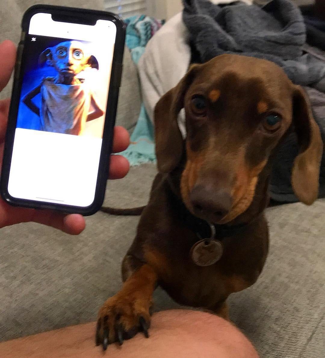 Post 7 by Moose on Instagram (image)