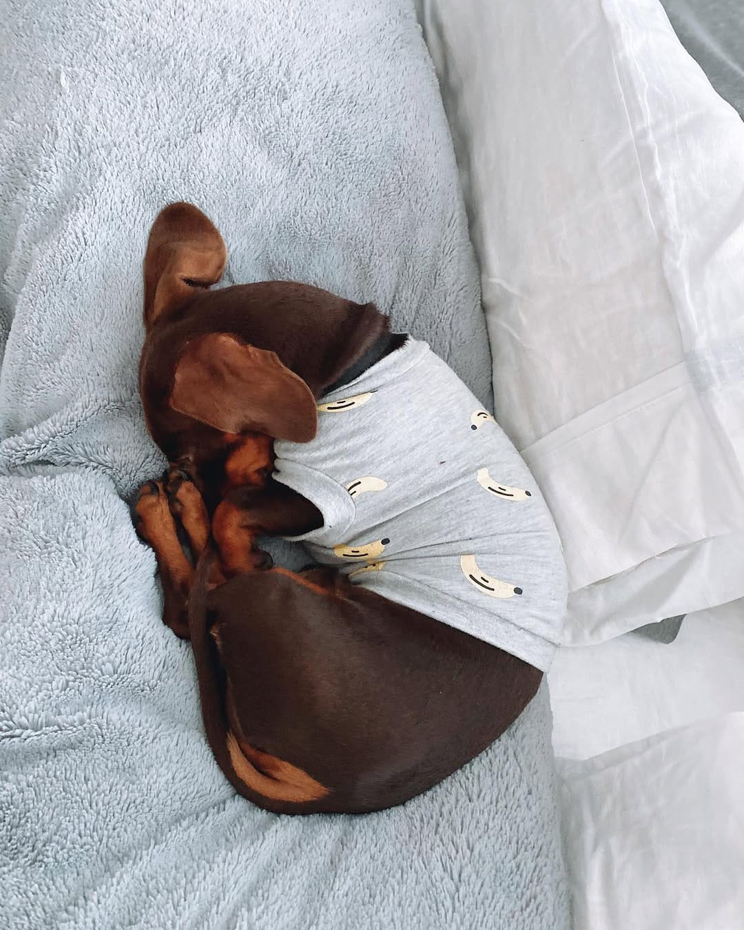 Post 3 by Moose on Instagram (image)