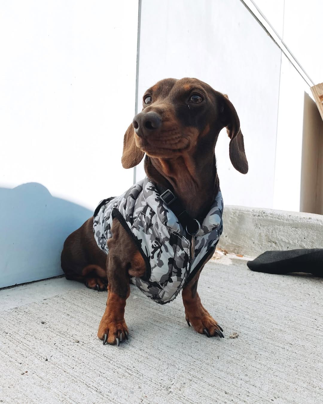 Post 2 by Moose on Instagram (image)
