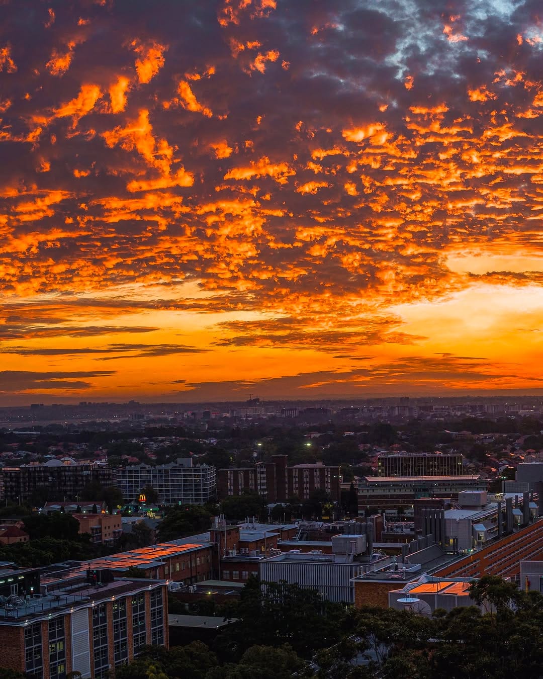 Post 4 by UNSW on Instagram (carousel)